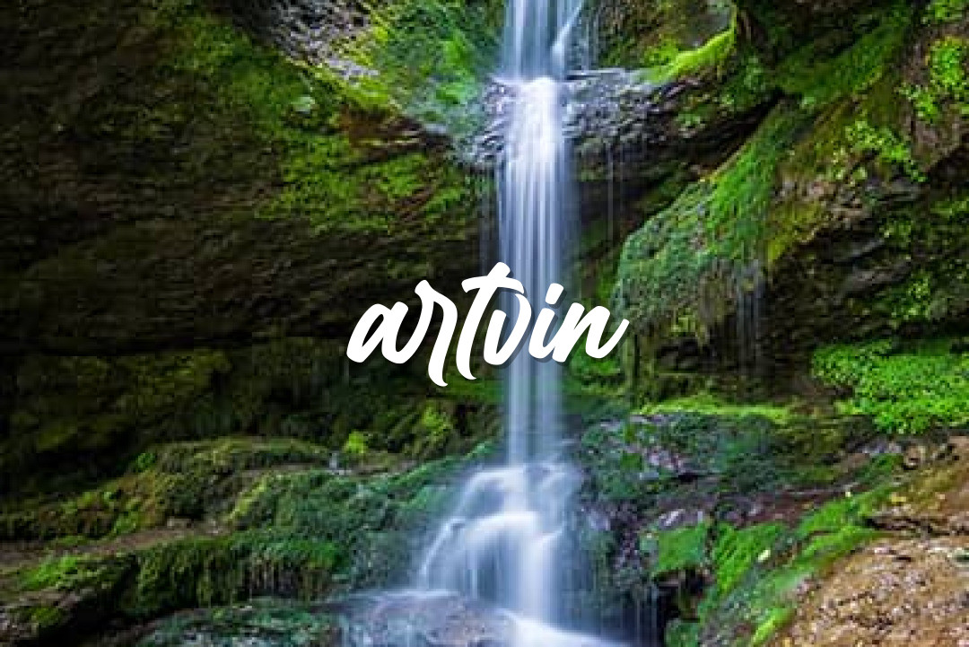Artvin