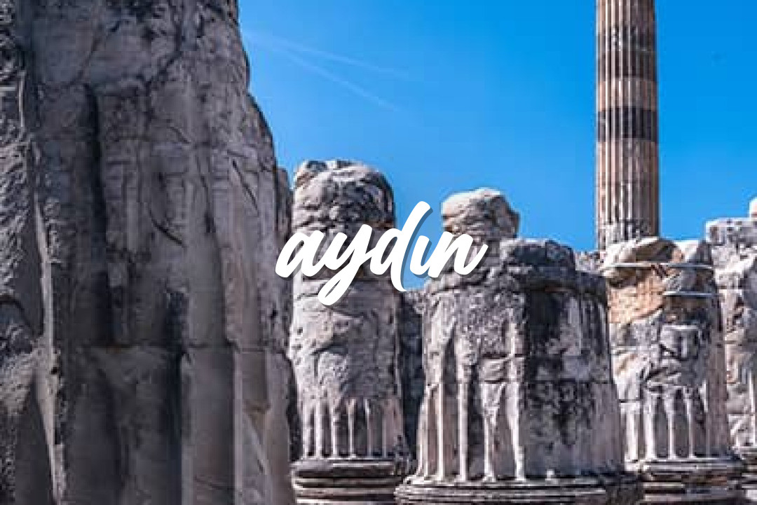 Aydın