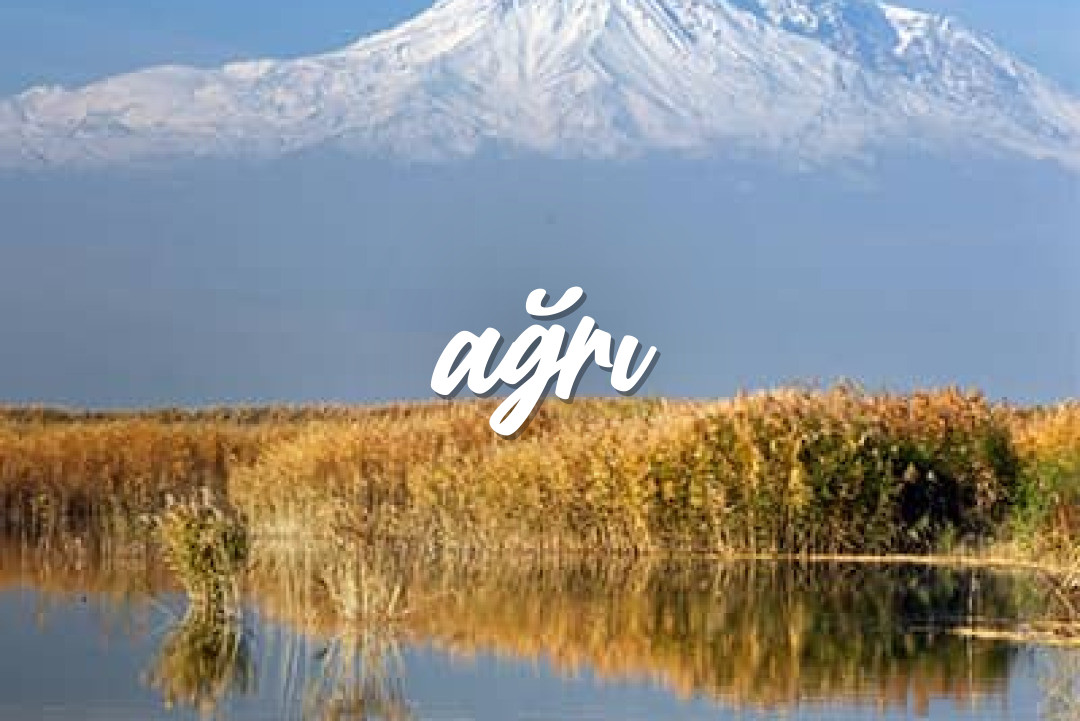 Ağrı