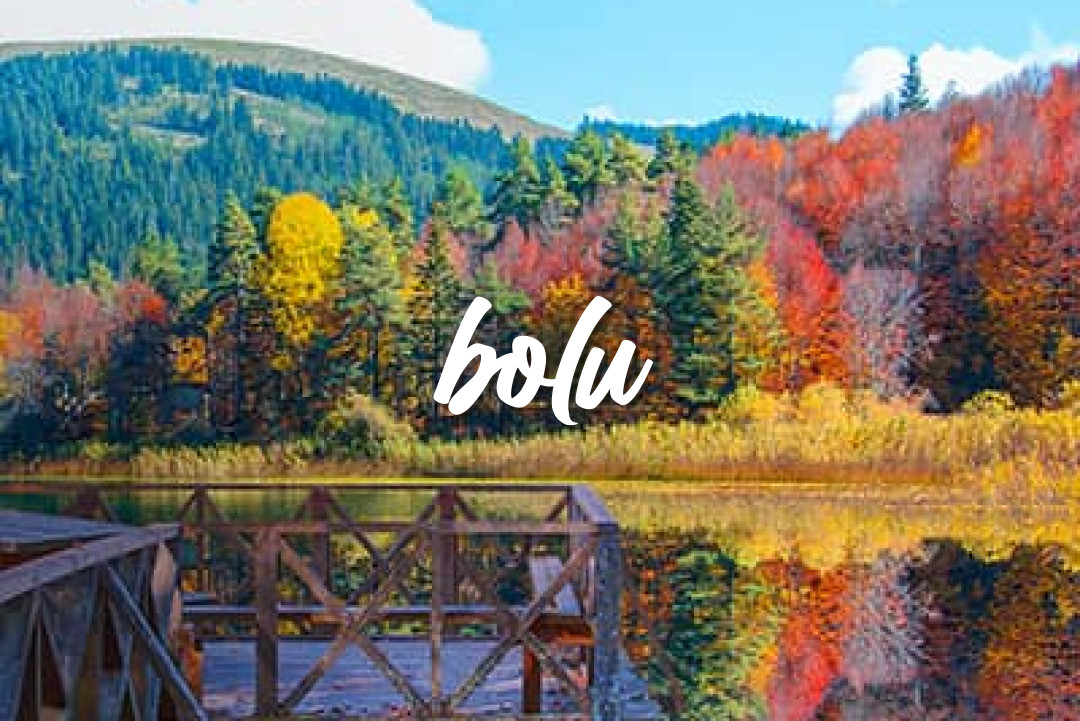 Bolu