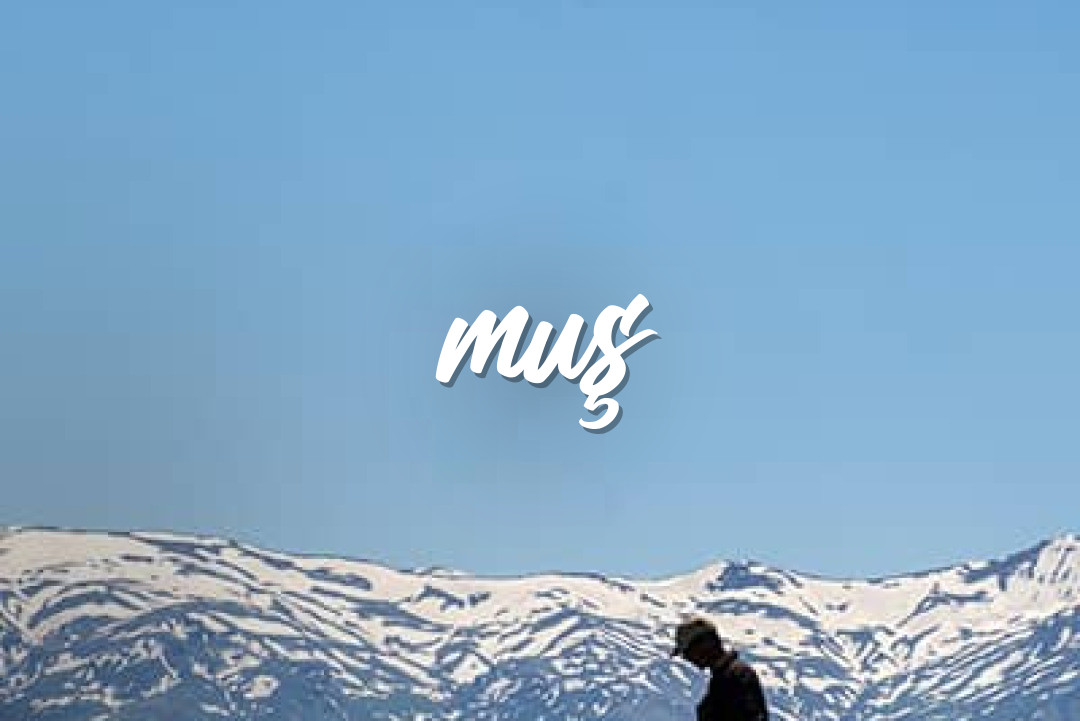 Muş