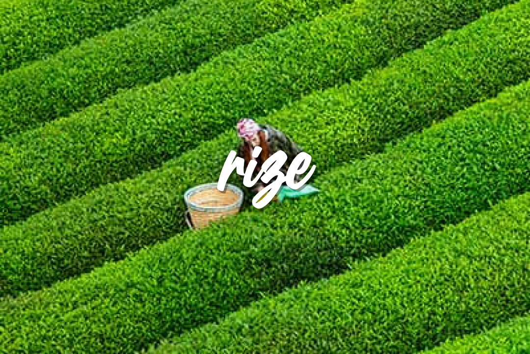 Rize