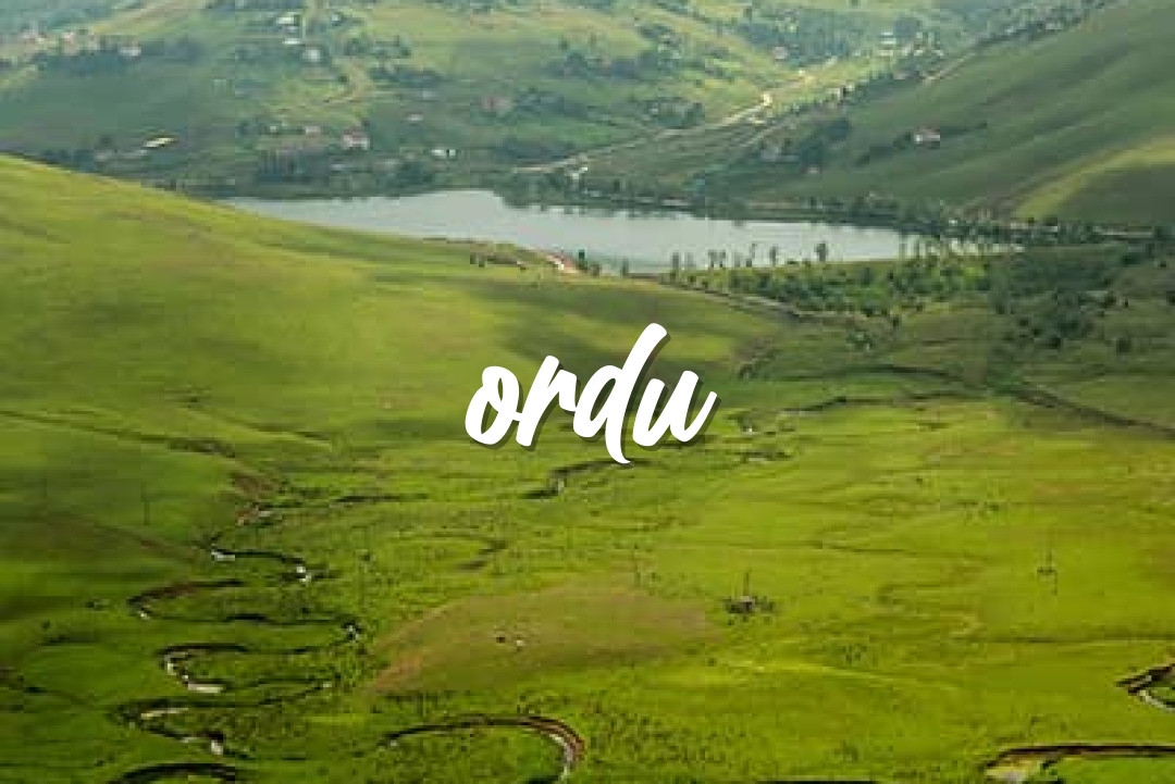 Ordu