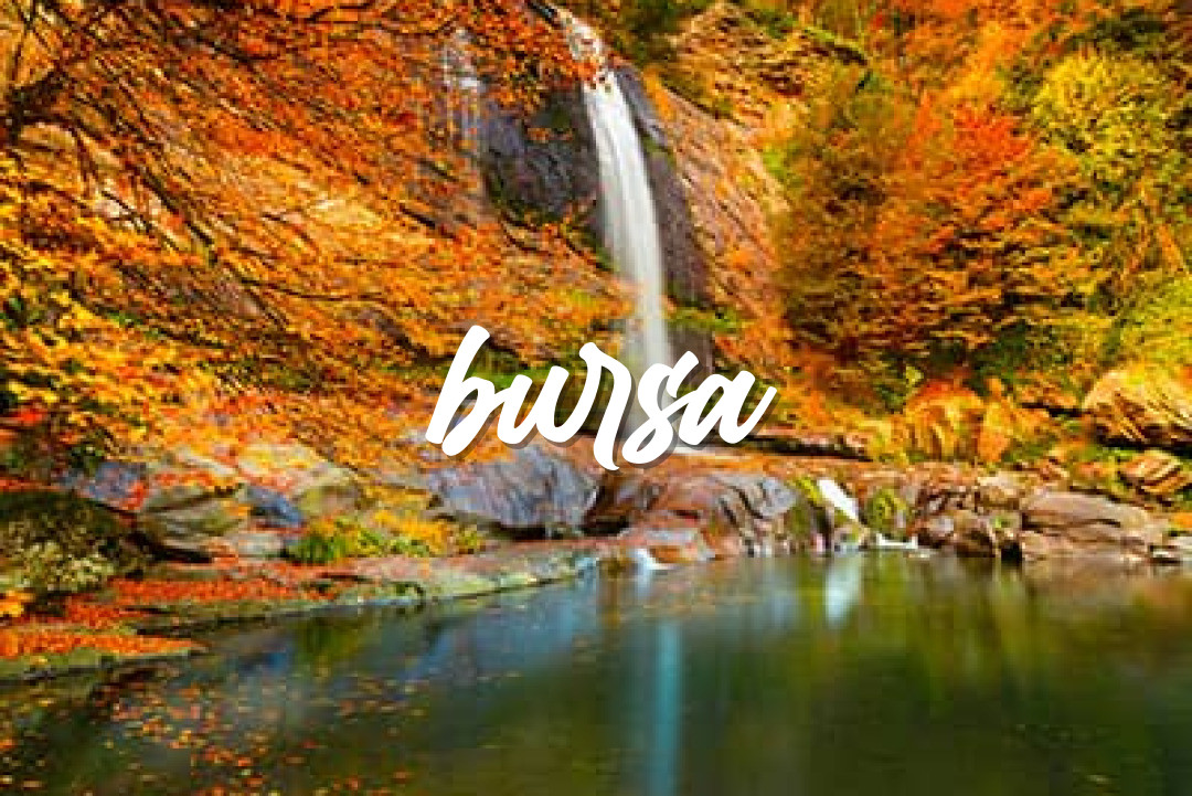 Bursa