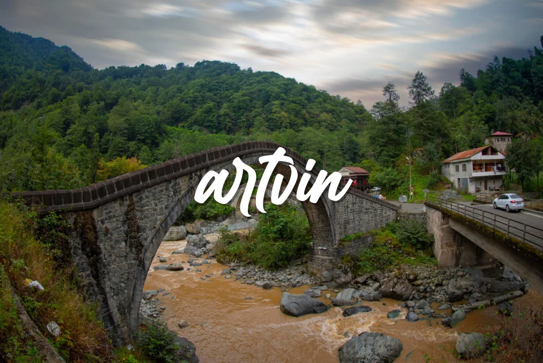 Artvin