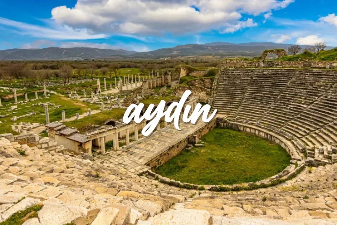 Aydın