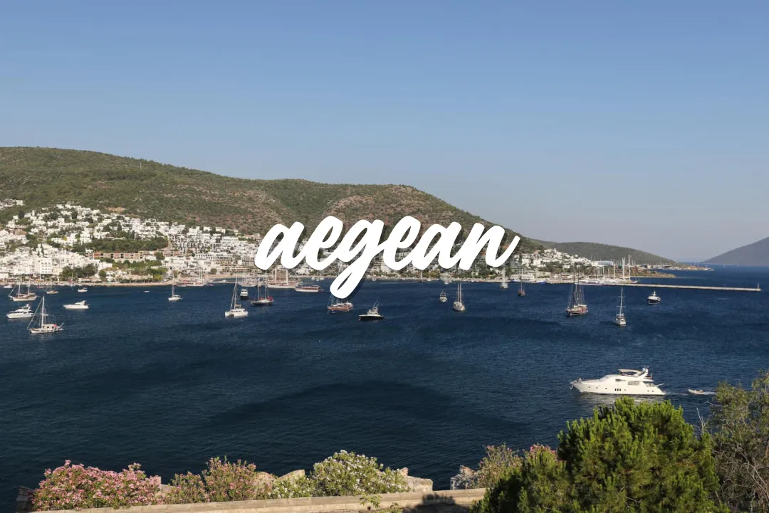 Aegean
