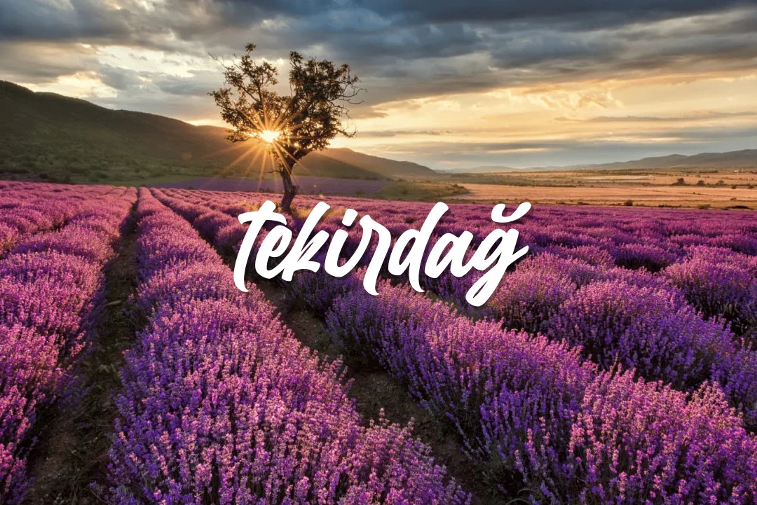 Tekirdağ