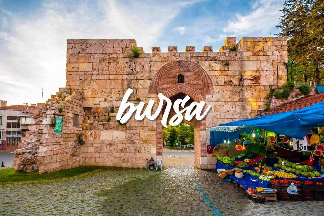 Bursa