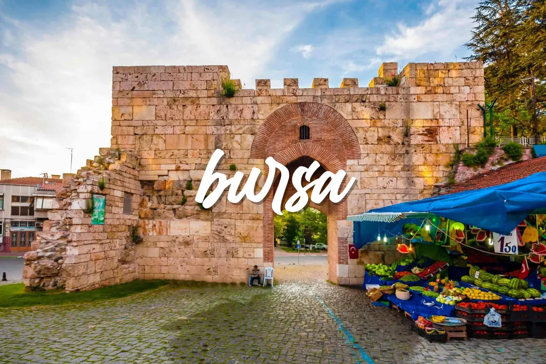 Bursa