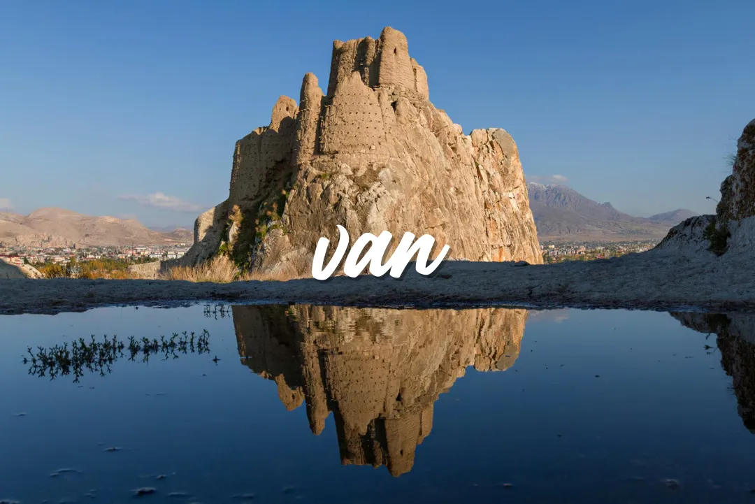 Van